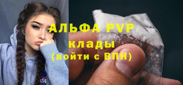 стаф Алексин