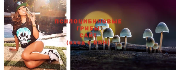 хмурый Липки