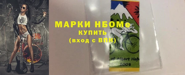 стаф Алексин