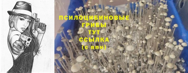 мет Алексеевка
