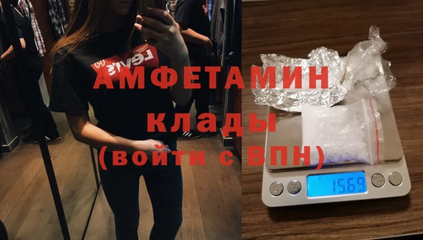 стаф Алексин