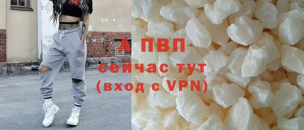 стаф Алексин