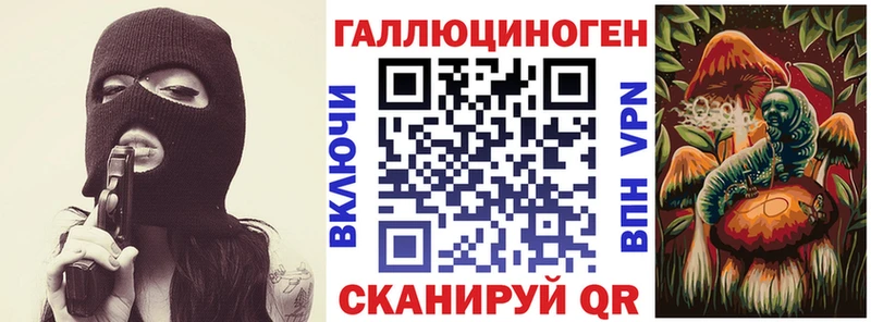 Галлюциногенные грибы Psilocybine cubensis Пыталово